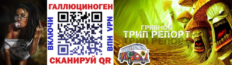 Галлюциногенные грибы Cubensis  Бугуруслан 